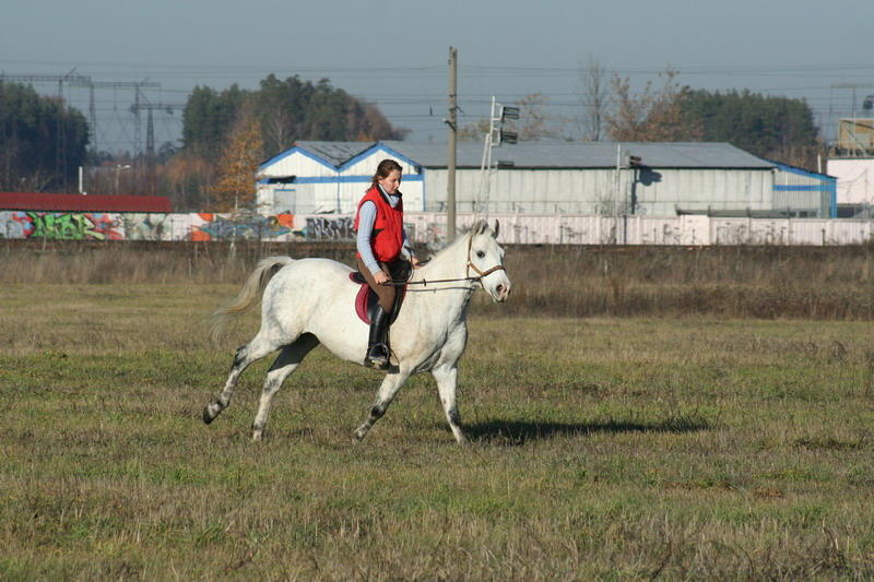 IMG_1138.jpg1.jpg"%20height="533"%20width="800